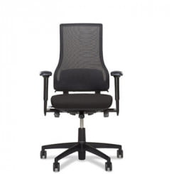Axia 2.5 ergonomic office chair